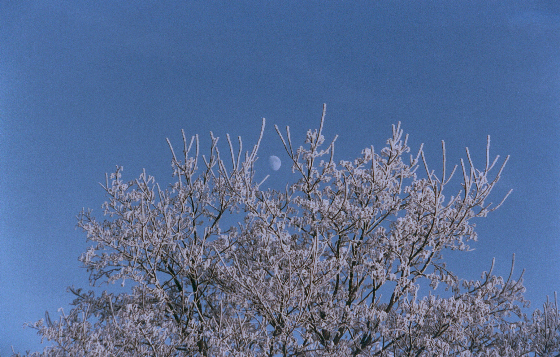 December